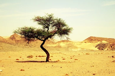 Metal Desert Big screen Wallpaper_High Definition Wallpapers ...