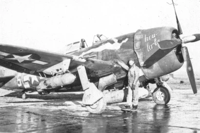 Republic P 47 Thunderbolt Computer Wallpapers, Desktop Backgrounds ...