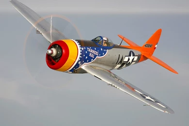 Warbird Depot   Fighters > Lone Star Flight Museum's Republic P ...