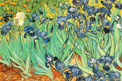 Painting Of Vincent Van Gogh   Irises Wallpapers And Images ...