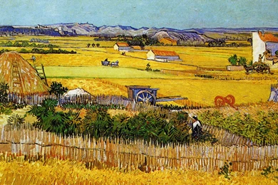 Wallpapers Van Gogh Animaatjes 39 Wallpapers