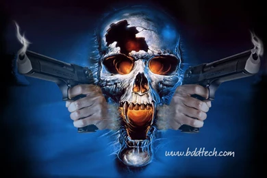 Wallpapers Girls With Guns Skull And 1024x768