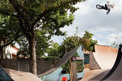 DUGAN'S DIG WALLPAPER   Fitbikeco.