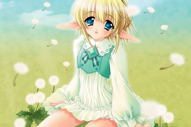 Anime Girl Elf Wallpapers