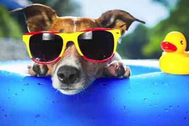 Happy Music Backgrounds Instrumental   "Happy Summer"   YouTube