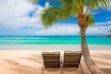 Rock A NEW Beach Body & Make Sunny Days More FUN! — Raw Strength Gym