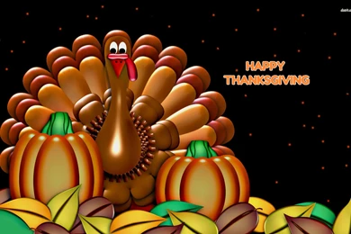 Pics, Facts, Funny Stuff About Animals & Nature Happy Thanksgiving ...