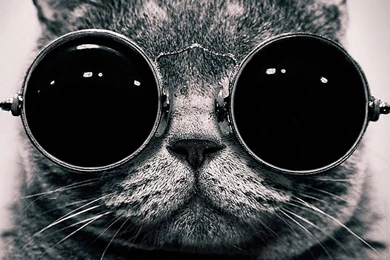 Fun Backgrounds HD Wallpapers Desktop Wallpapers ...