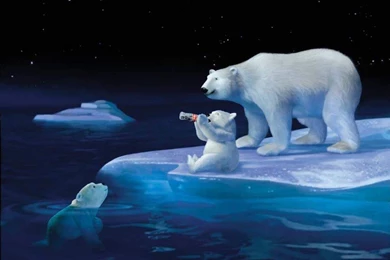 Coca Cola Polar Bear Wallpapers   Bing Images