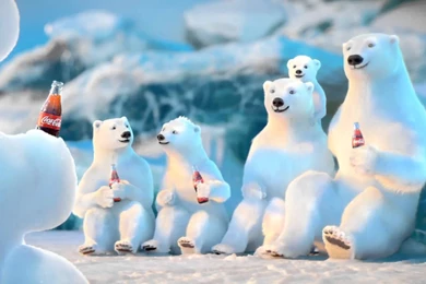 Coca Cola Polar Bears Commercial 2013   YouTube