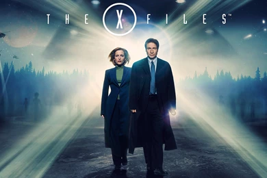X Files Blu ray Backgrounds By Themadbutcher On DeviantArt