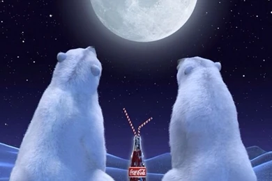 COCA COLA POLAR BEARS, IPHONE WALLPAPER BACKGROUND