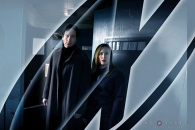 IWTB Wallpapers   The X Files: I Want To Believe Wallpapers ...