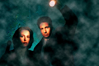 Fox Mulder In The Office   The X Files Desktop Wallpapers 16979