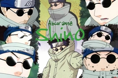 Shino Wallpapers   Shino Aburame Wallpapers (15735774)   Fanpop