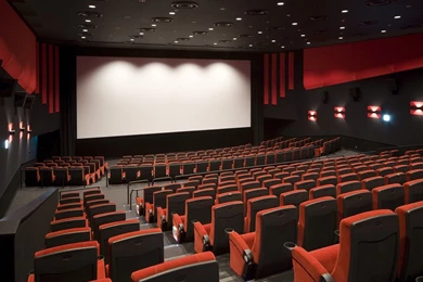 Ninja Attack: The Decline Of The Movie Theater?