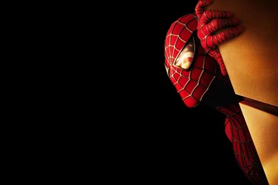 Wallpapers Spayder Man Spider And Of 1024x768