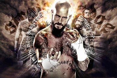 WWE Cm Punk Wallpapers 2015   Wallpapers Cave