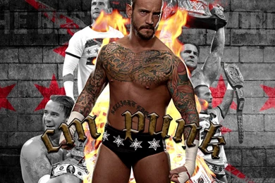WWE Cm Punk Wallpapers 2015   Wallpapers Cave