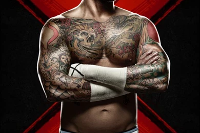 WWE'13 Custom Wallpapers CM Punk By MrAwesomeWWE On DeviantArt