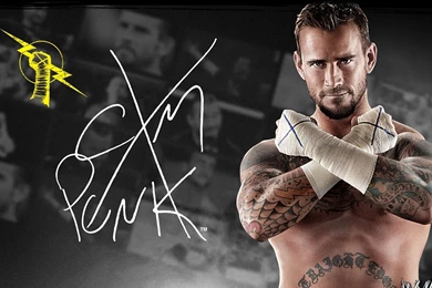 Wallpaper: Wallpapers Of Cm Punk 2012