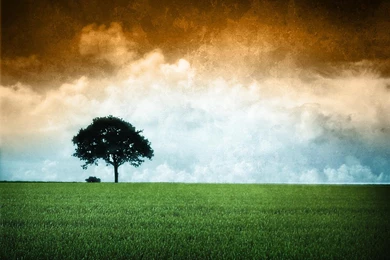 Indian Flag Hd Wallpapers