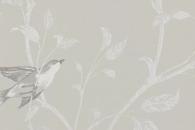Wallpapers Rasch Tendresse 2015 Non woven Wallpapers 798920 Bird ...