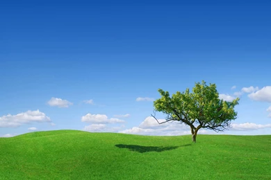 Wallpapers HD Desktop