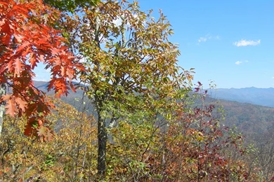 Beautiful Sacred View Full HD Nature Backgrounds Wallpapers For ...