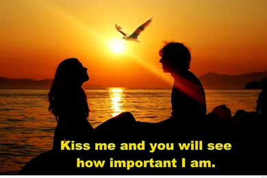 Amazing romantic quote free download wallpaper.jpg