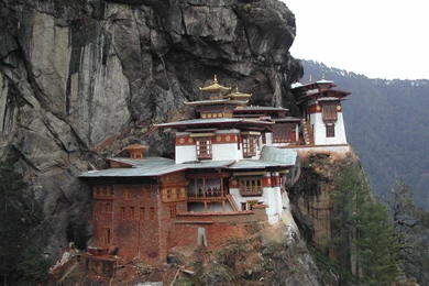 Quinn Kepler: SS Amazing Waterfall