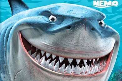 Free Desktop Wallpaper: Finding Nemo Desktop Wallpapers (Page 4)