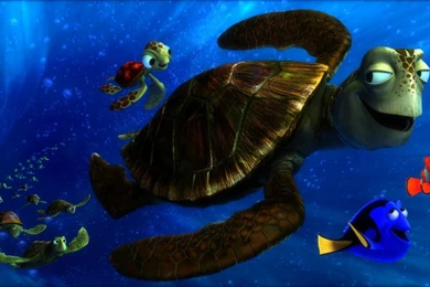 FINDING NEMO Animation Underwater Sea Ocean Tropical Fish ...