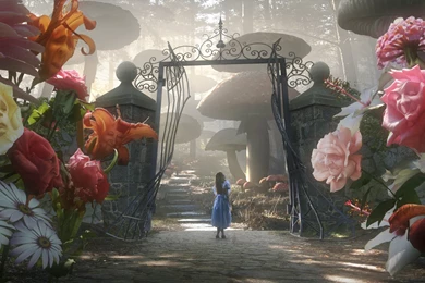 Alice In Wonderland Wallpapers Best Car 2015