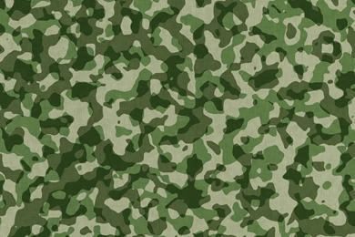 Military Camouflage Pattern Two