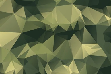 Army Soldiers Vectors, Photos And PSD Files