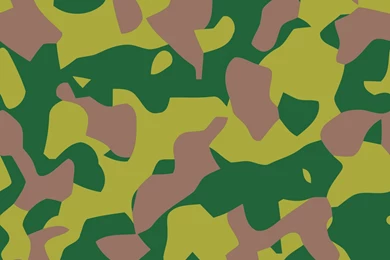 Military Camouflage Pattern Ten
