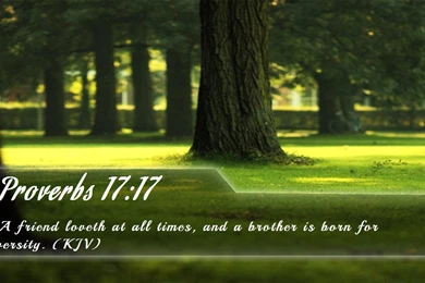 Bible Wallpapers   Free Bible Verse Wallpapers