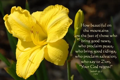 Christian Desktop Images Free  Landscape Photos With Bible Verses