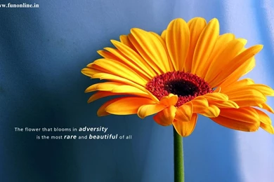 Beautiful Inspirational Quotes. QuotesGram