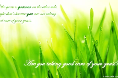 Wallpaper grass c.jpg