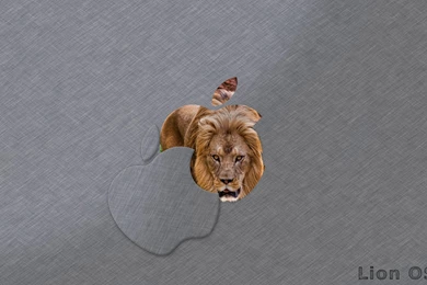 Mac OS X Lion.jpg
