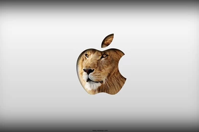 55 New Mac OS X Lion Wallpapers In HD For Free Download