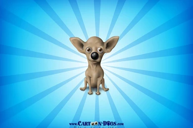 Cartoon Chihuahua Wallpapers   67033