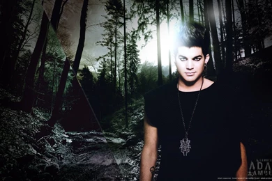 48   Wallpaper: Adam Lambert By CreativeSharka On DeviantArt