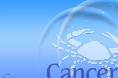 FreeTemplates,Themes, Games,Fonts & Wallpapers: December 2010