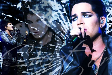 Adam Lambert Wallpapers   Adam Lambert Wallpapers (16485767)   Fanpop