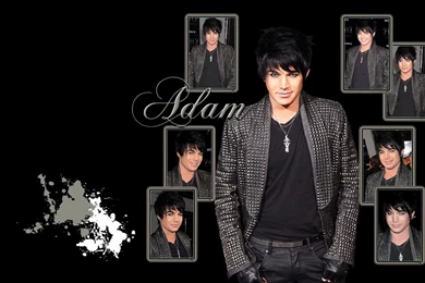 Adam Wallpapers   Adam Lambert Wallpapers (9604926)   Fanpop