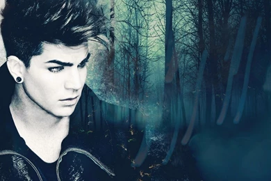 Adam lambert wallpaper 8 9082 HD Wallpapers