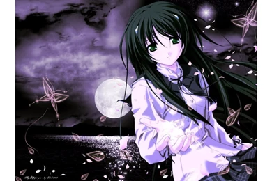 Purple Night 4K Anime Wallpapers